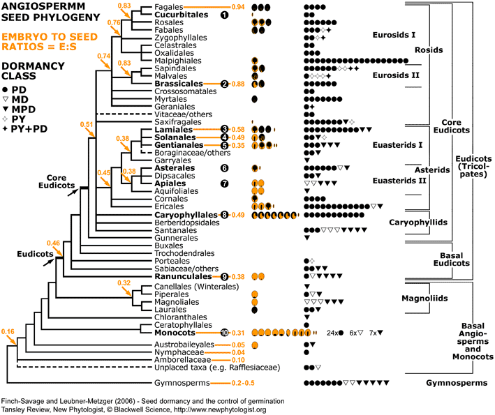 Angiosperm Phylogeny Group #