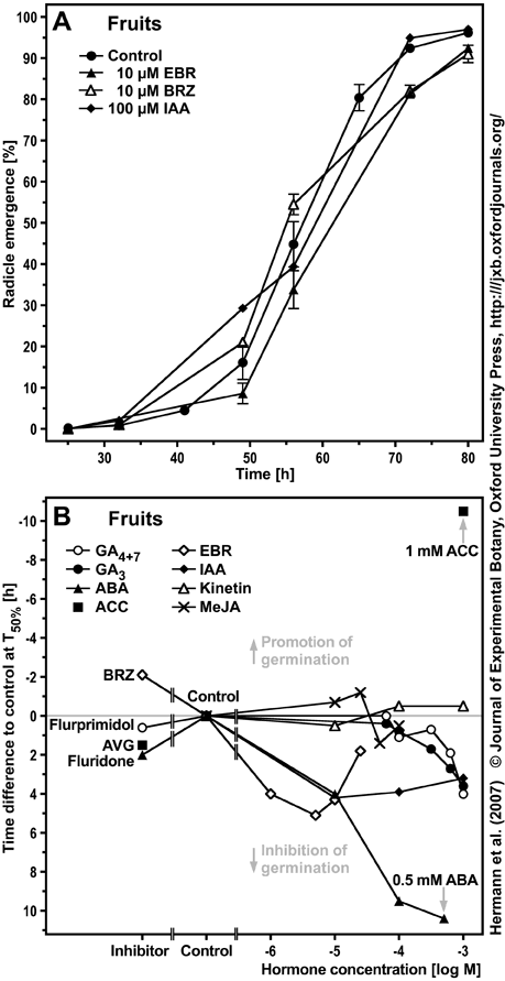 Sugar beet germination and hormones