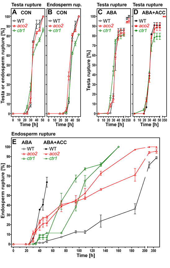 Arabidopsis germ. Fig. S2