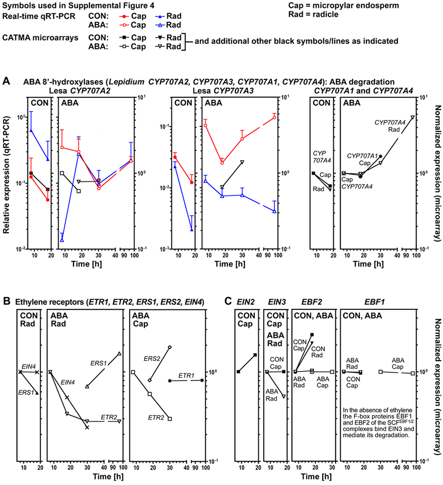 Lepidioum qPCR PC fig.4