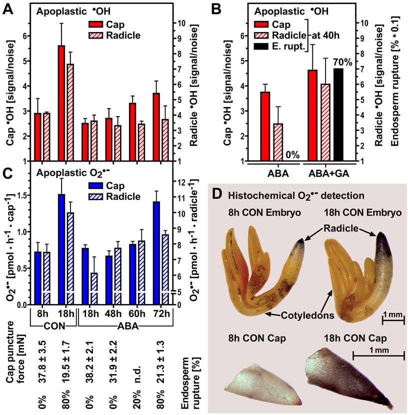 Fig2