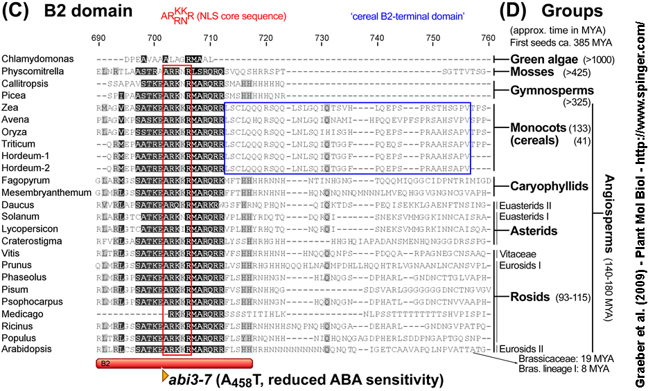 ABI3/VP1 Graeber et al. 2009