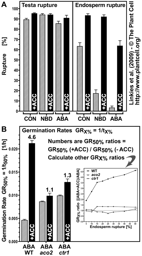 Fig. 6 Linkies 2009