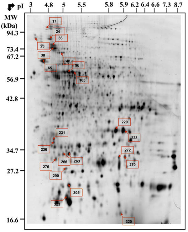 Fig. 2.1 Mueller 2010 Proteomics