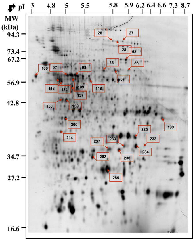 Fig. S4 Mueller 2010 Proteomics