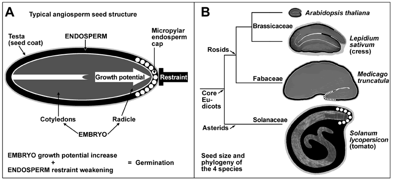 essentials of autopsy practice innovations updates and advances