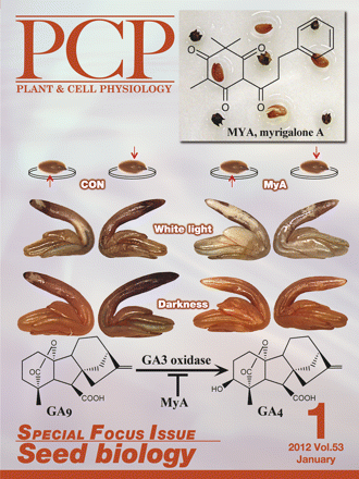 Special issue cover seed biology