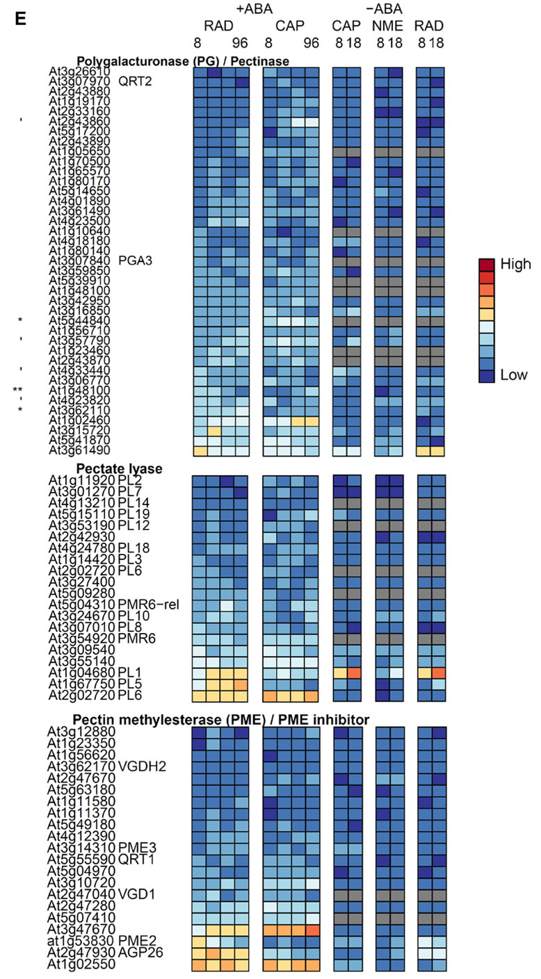 Pectin-related heat map