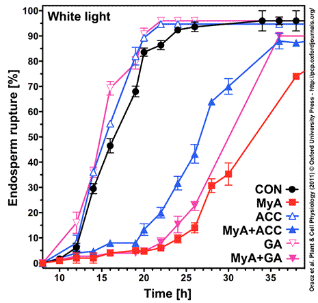 MyA and ABA inhibit germination