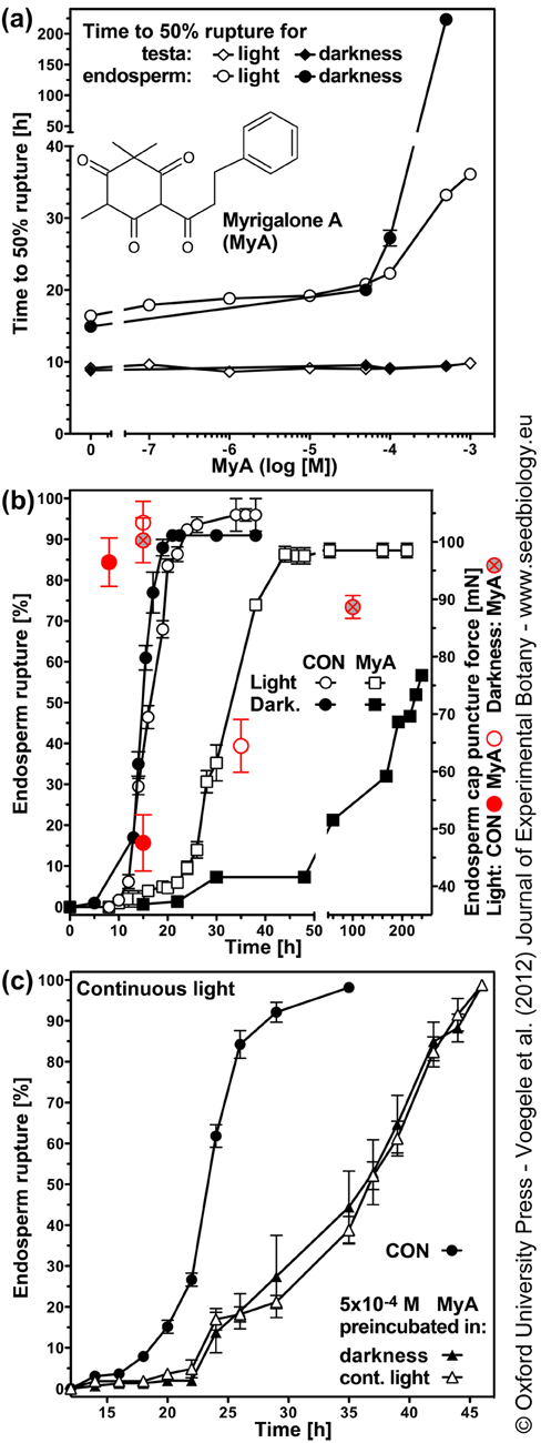 MyA inhibits seed germination