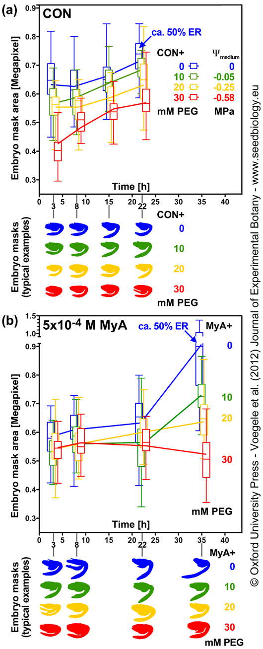 embryo growth at different water potentials