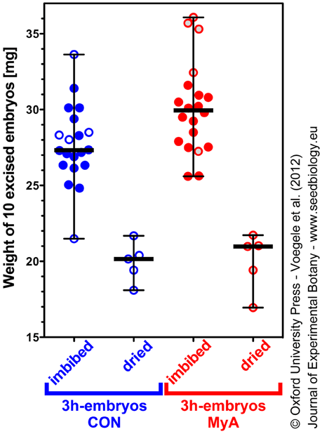 Embryo water uptake
