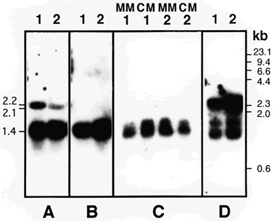 Fig. 8 mating type