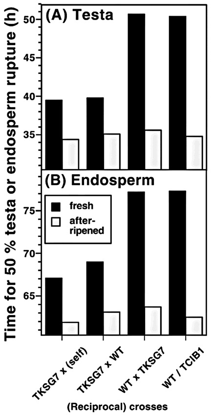 Reciprocal cross glucanase overexpression