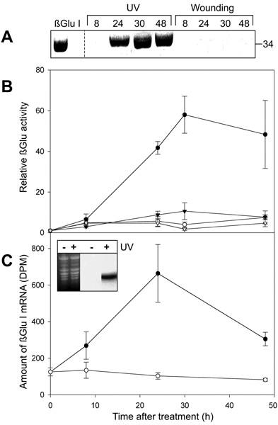UV Fig. 2
