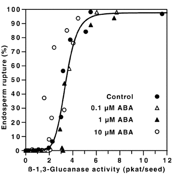 germination glucanase