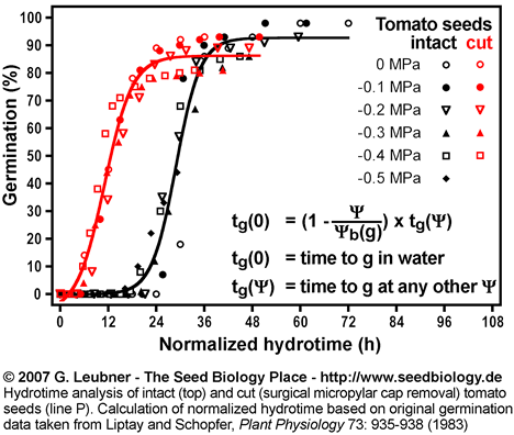 Normalized hydrotime