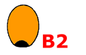 B2 seed type