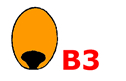 B3 seed type