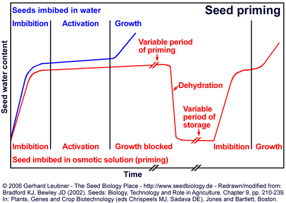 Seed priming