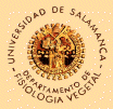 Salamanca