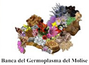 Germplasm Bank Molise